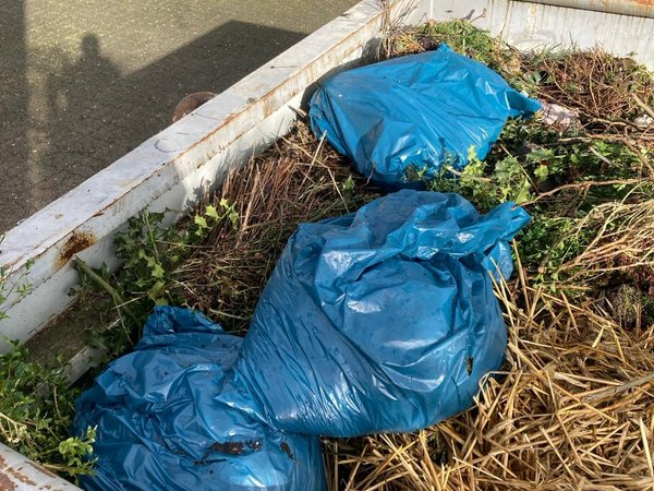 Müllentsorgung in den Friedhofscontainern