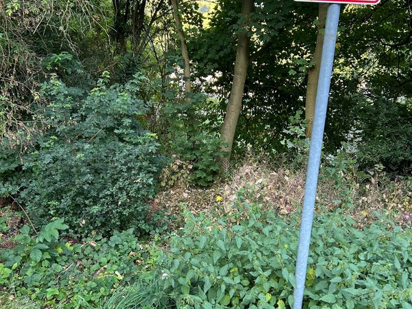 Illegale Müllablagerung am Kahlenberg