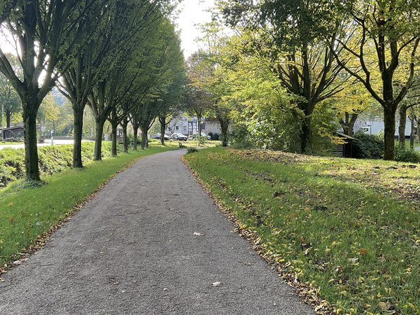 Wegflächen in der Parkanlage in Altenhellfeld erneuert und barrierefrei