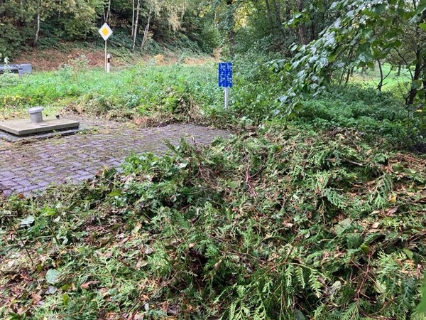 Illegale Abfallentsorgung in Westenfeld
