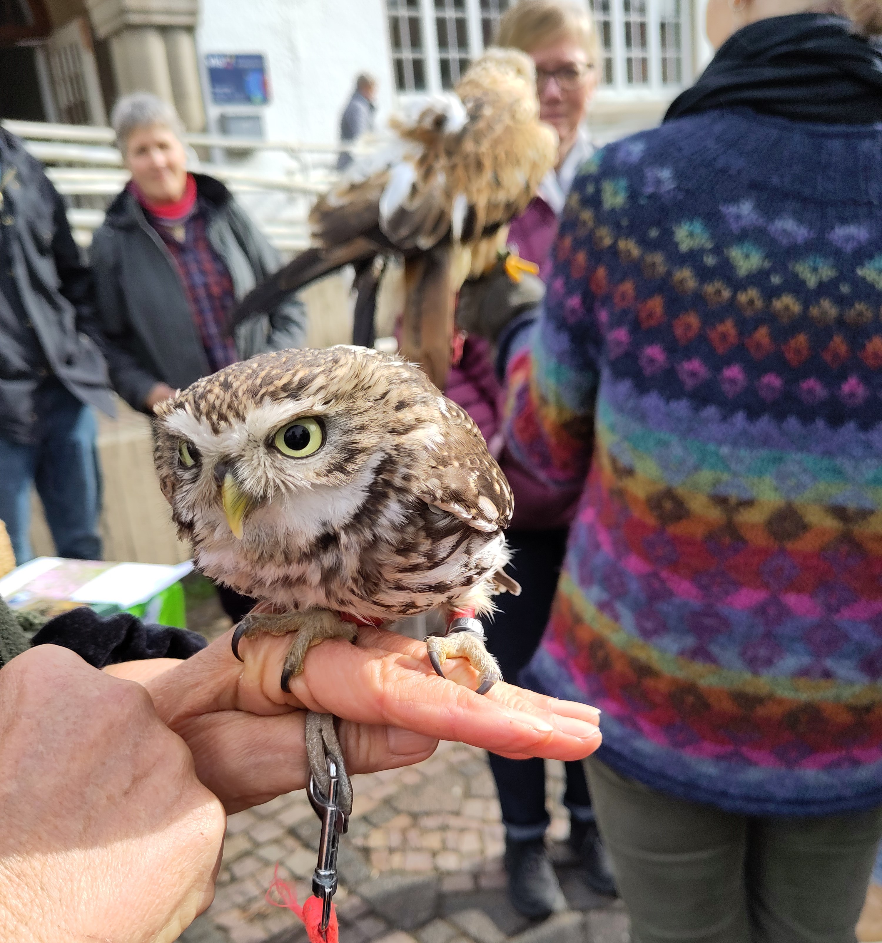 Familien- und Kulturfest "Sonntags in Sundern"