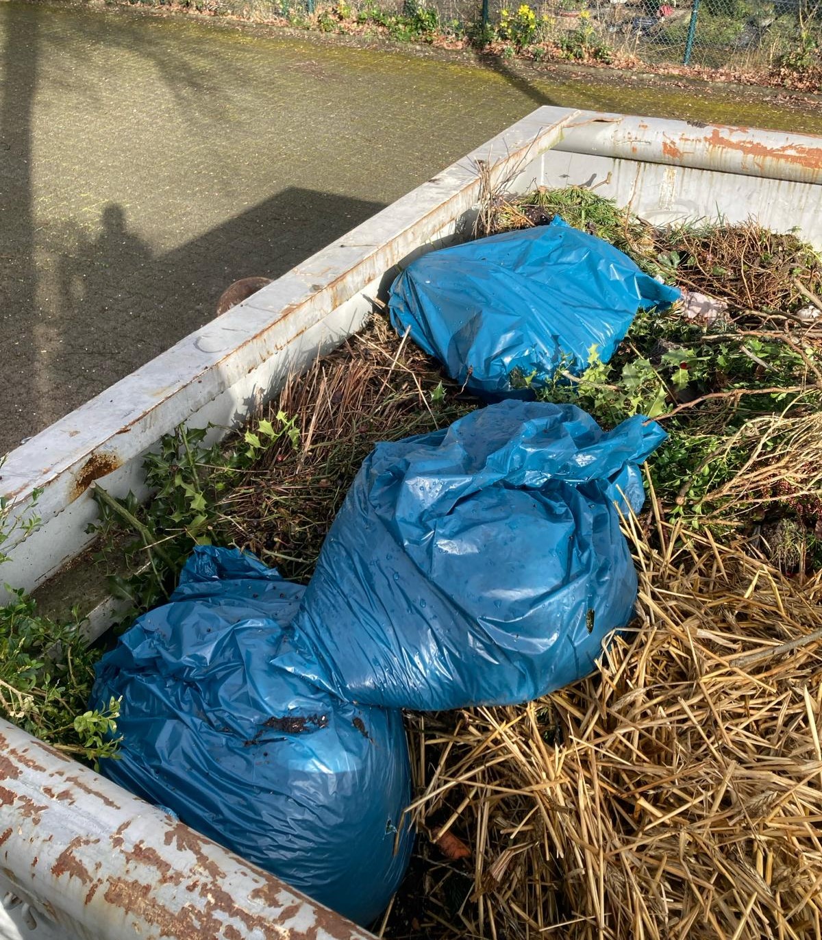 Müllentsorgung in den Friedhofscontainern