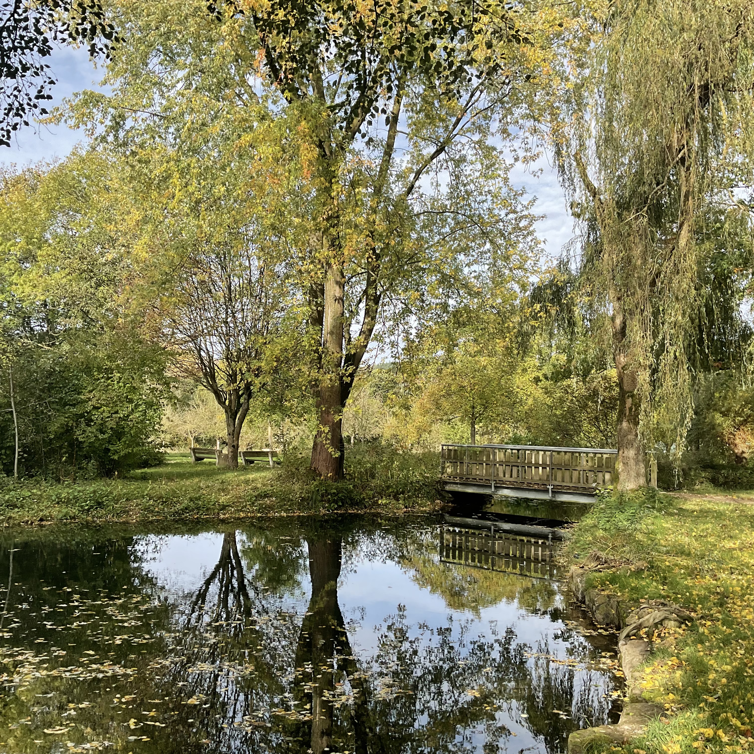 Blick auf den Teich in der Parkanlage Altenhellefeld 