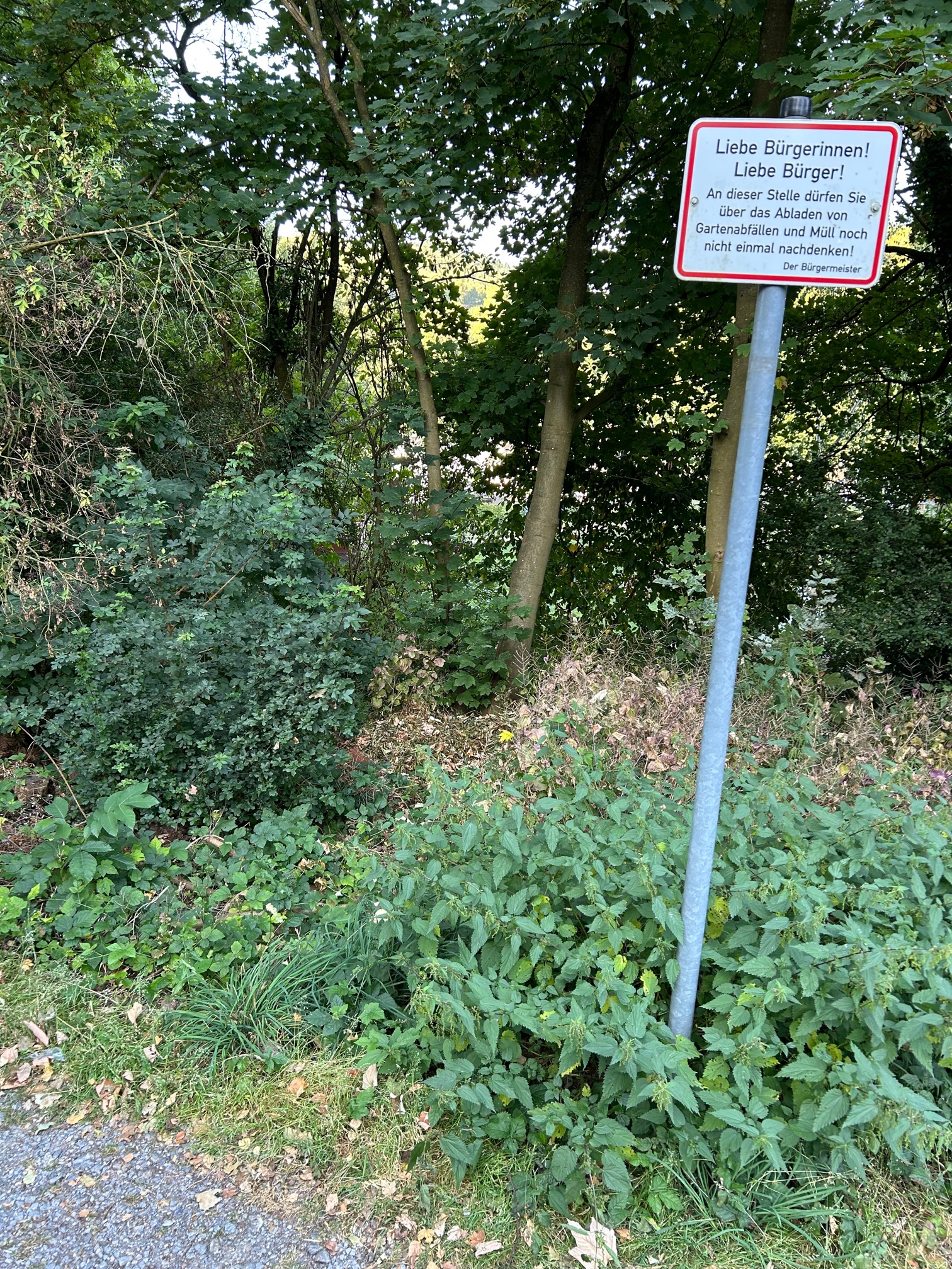 Illegale Müllablagerung am Kahlenberg