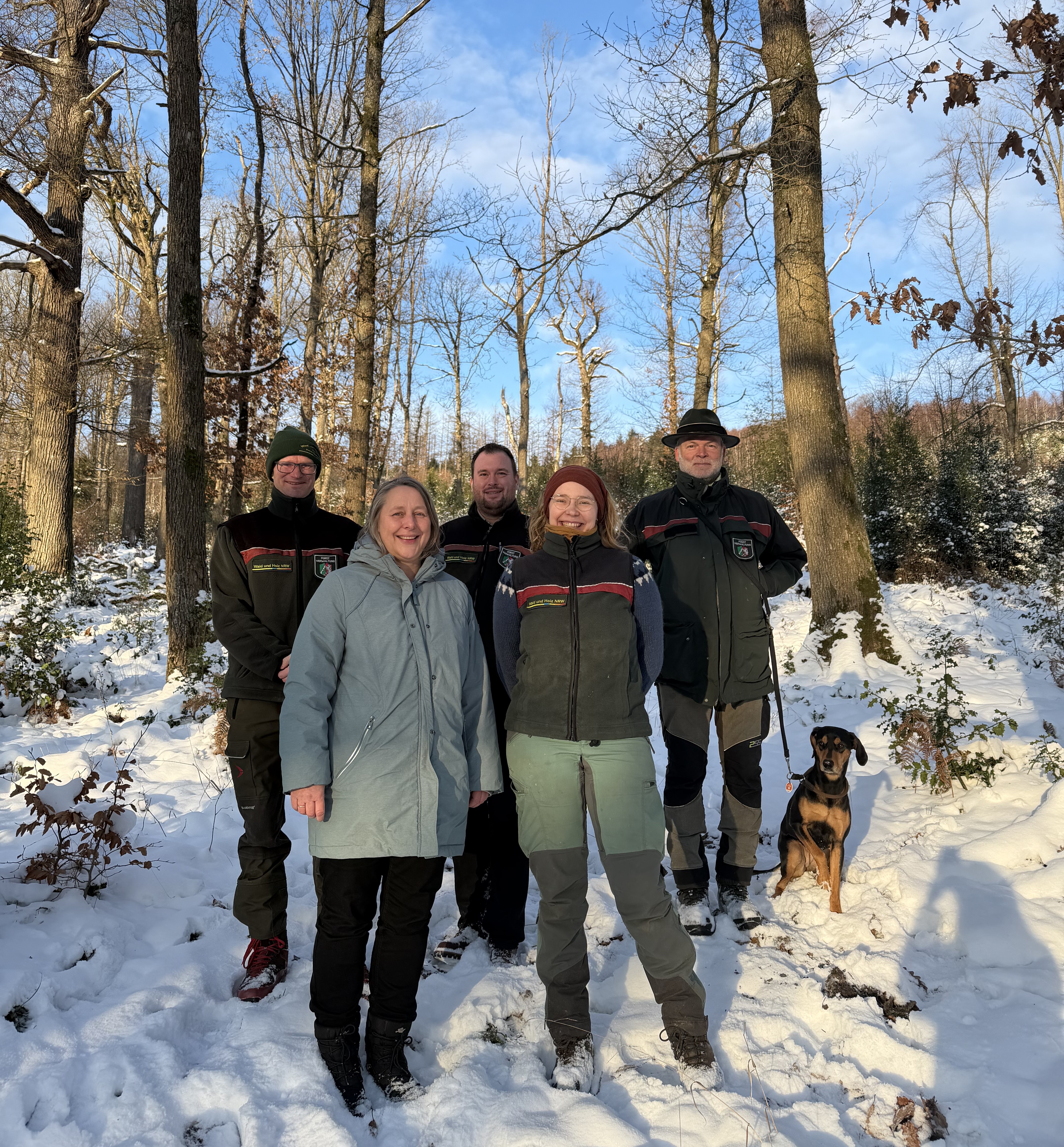 Stadt setzt künftig auf Beförsterung über Forstbetriebsgemeinschaft