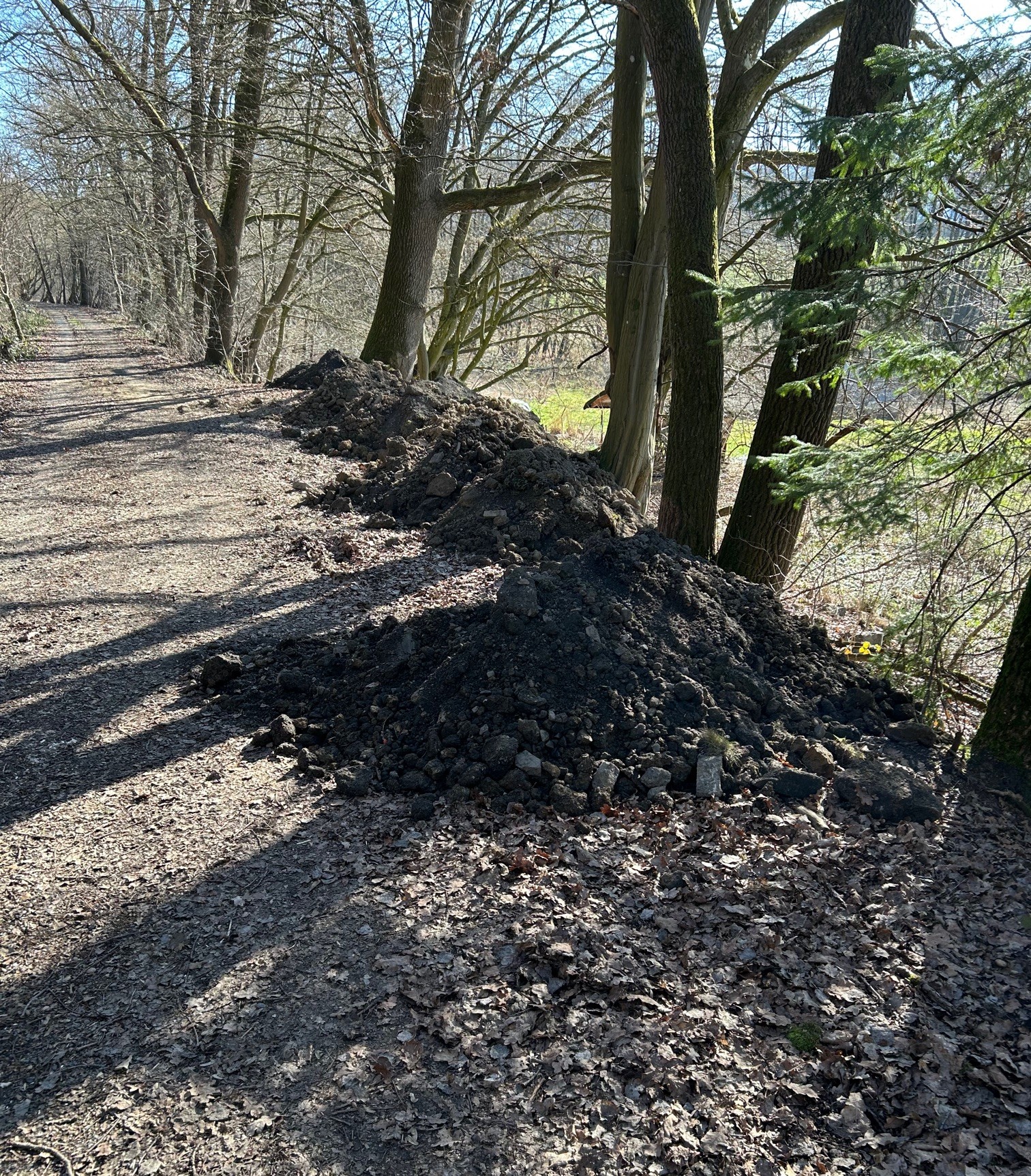 Illegale Schuttablage